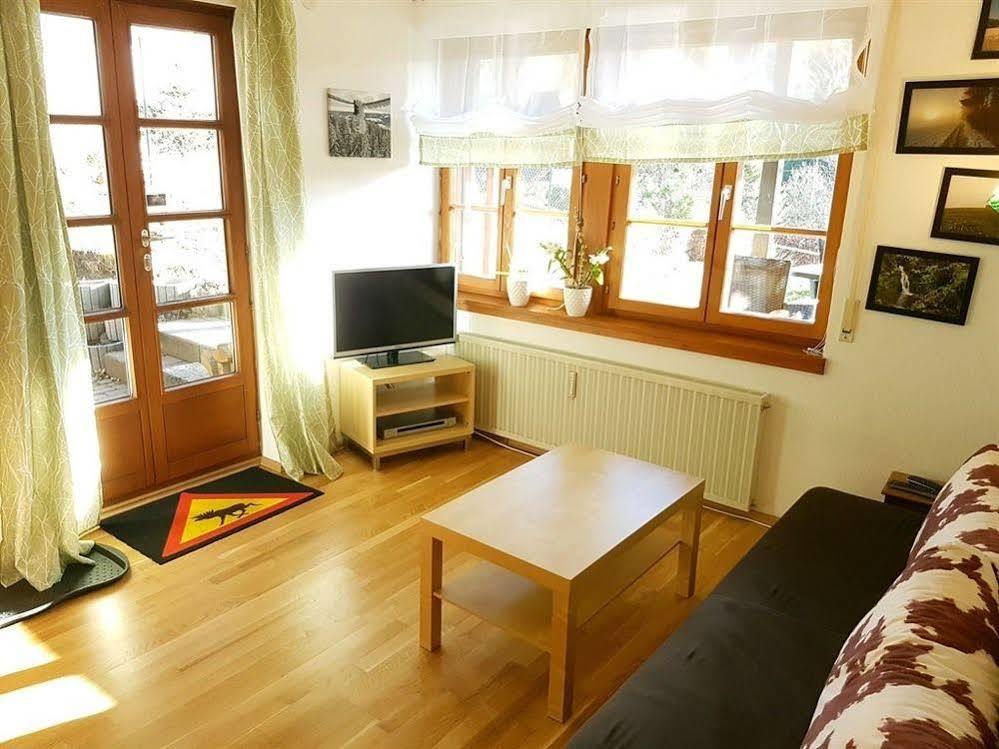 Ferienwohnung Borner Фельдберг Экстерьер фото